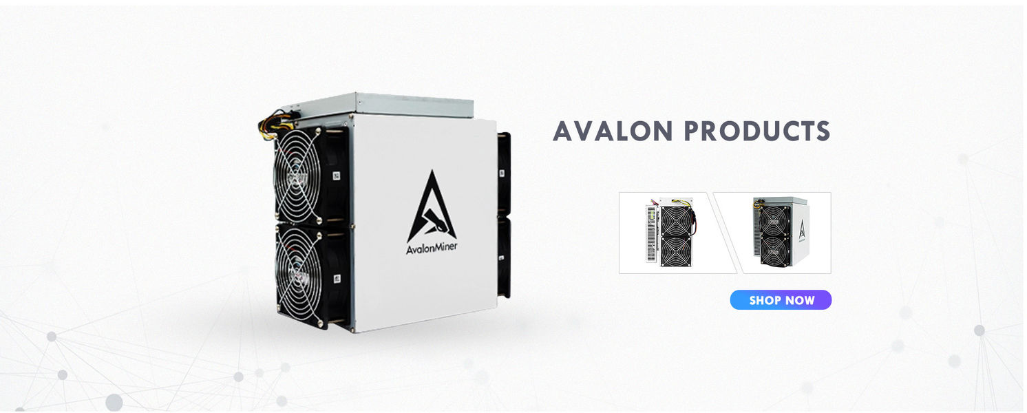 Chiny Najlepiej Koparka Bitcoinów Avalon sprzedaży